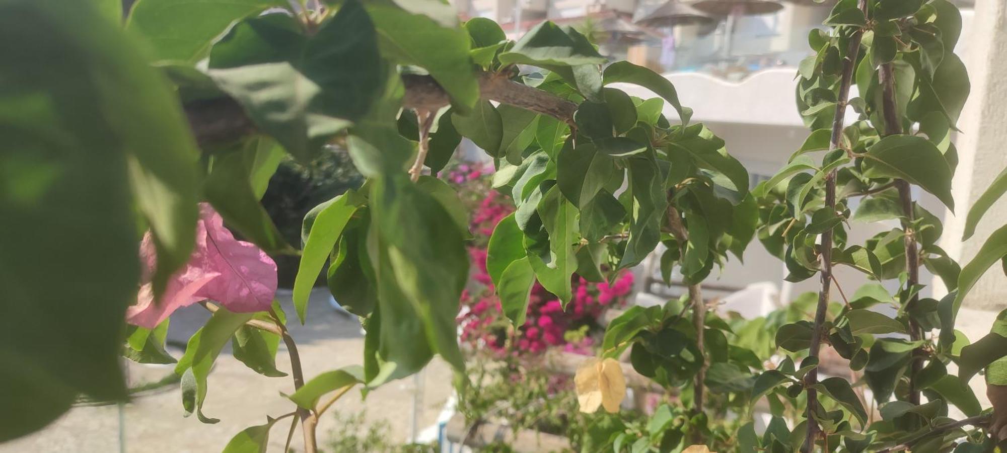 Sea Breeze Bougainville Bay Apartament Saranda