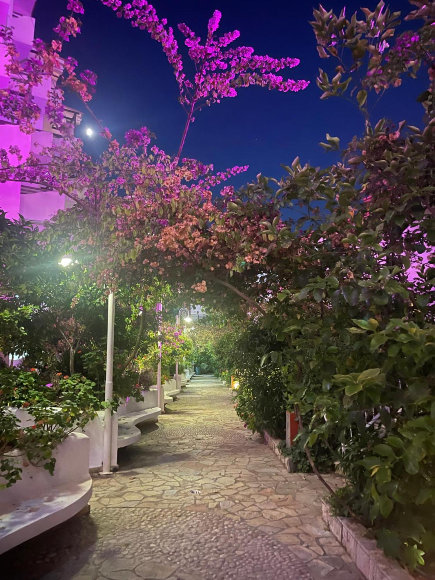 Apartament Sea Breeze Bougainville Bay